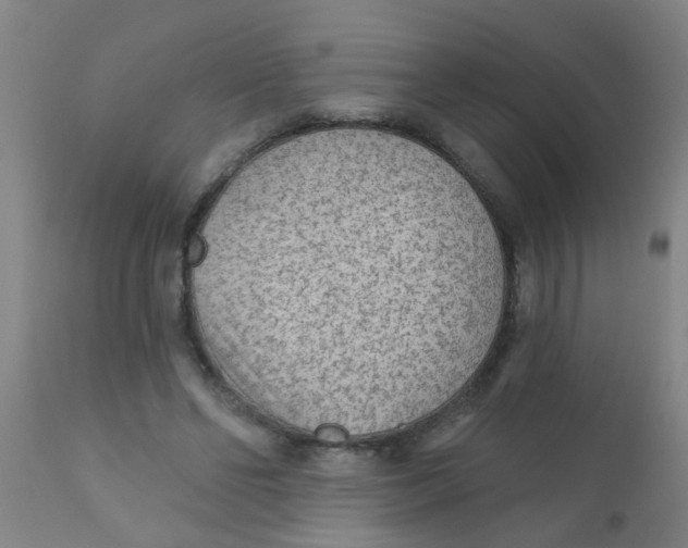 X0000110720494200907022049