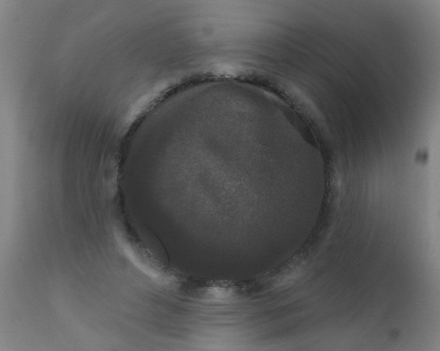 X0000110720496200907022049