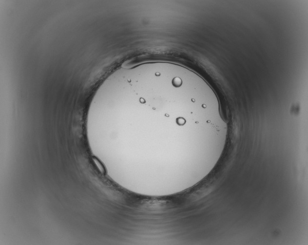 X0000110720497200907022049