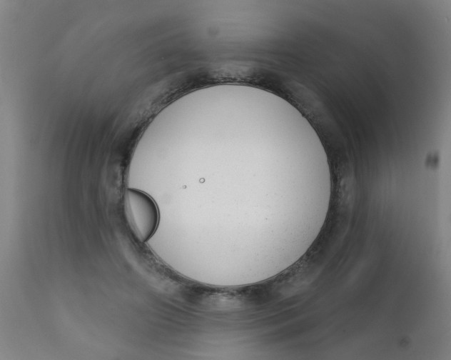 X0000110720498200907022049