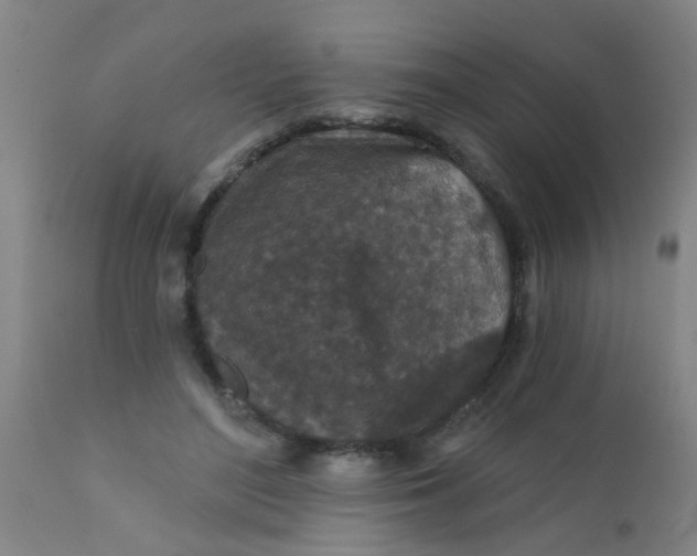 X0000110720500200907022049