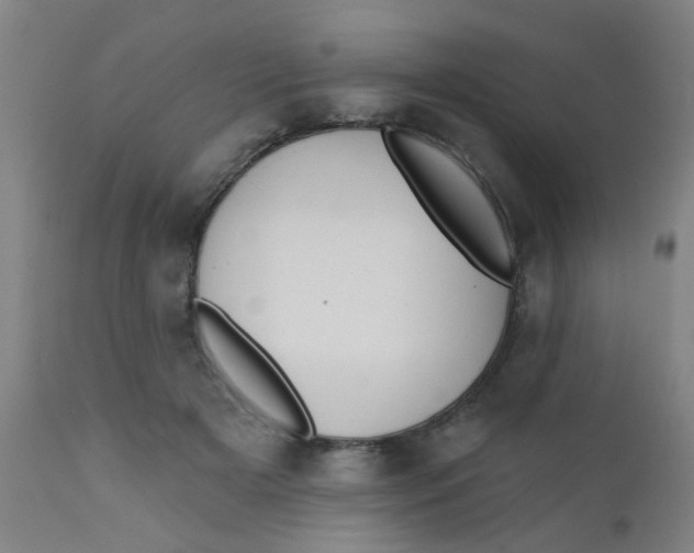 X0000110720505200907022049