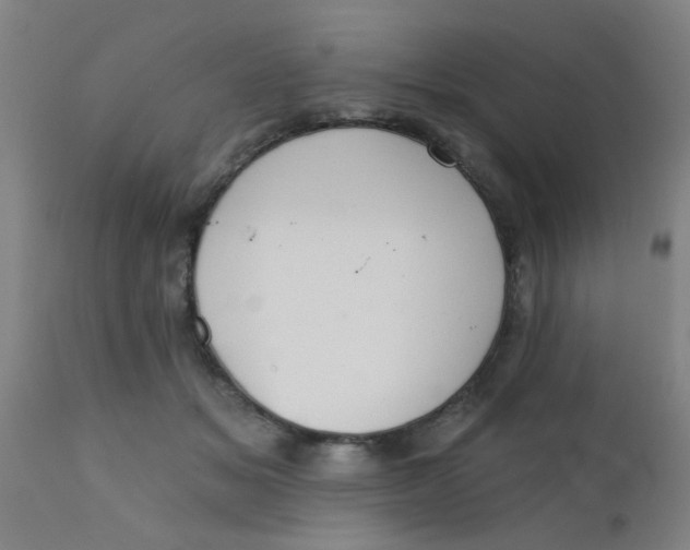 X0000110720509200907022049