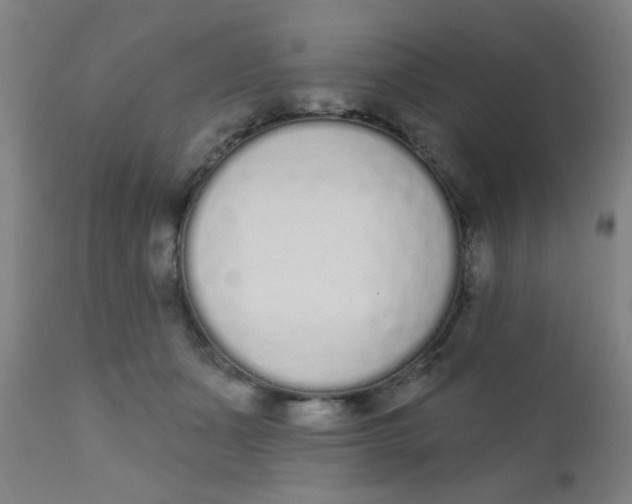 X0000110720511200907022049