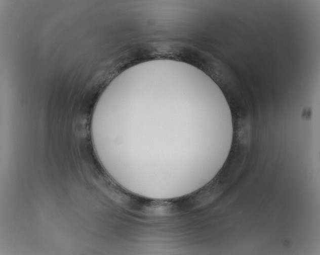 X0000110720514200907022049