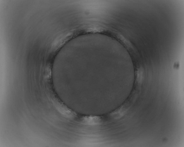 X0000110720517200907022049