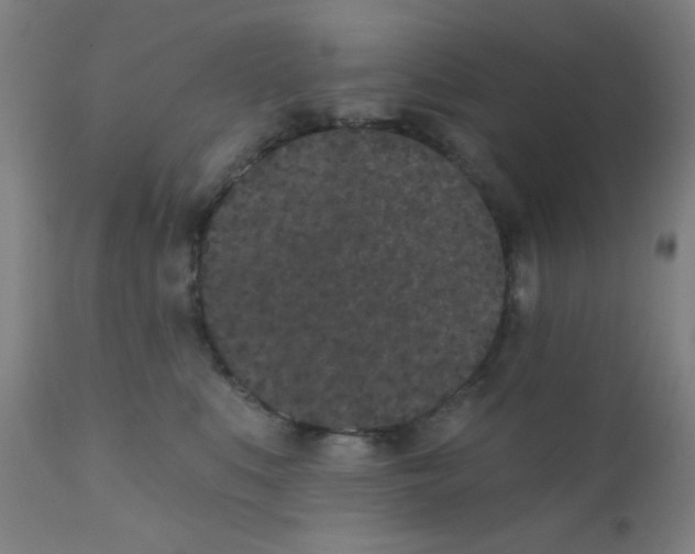 X0000110720519200907022049