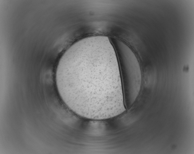 X0000110720520200907022049