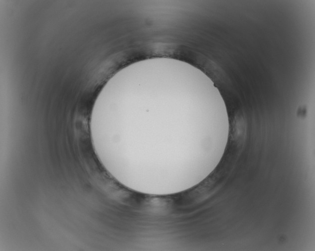 X0000110720522200907022049