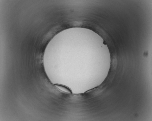 X0000110720525200907022049