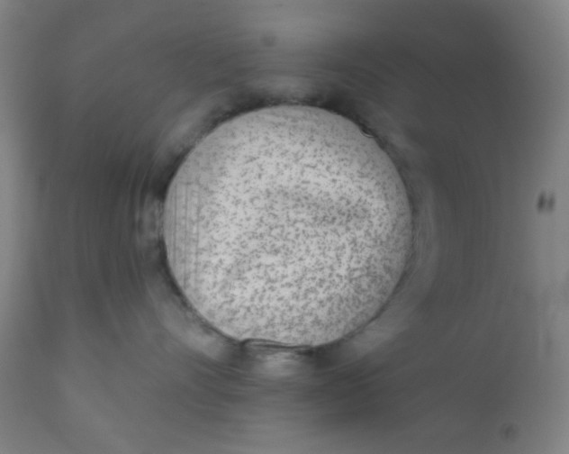 X0000110720528200907022049