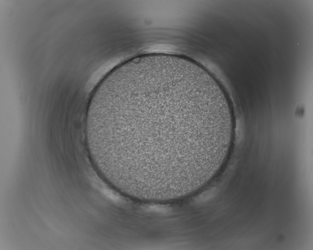 X0000110720529200907022048