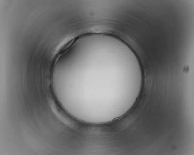 X0000110720530200907022048