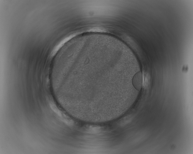 X0000110720531200907022048