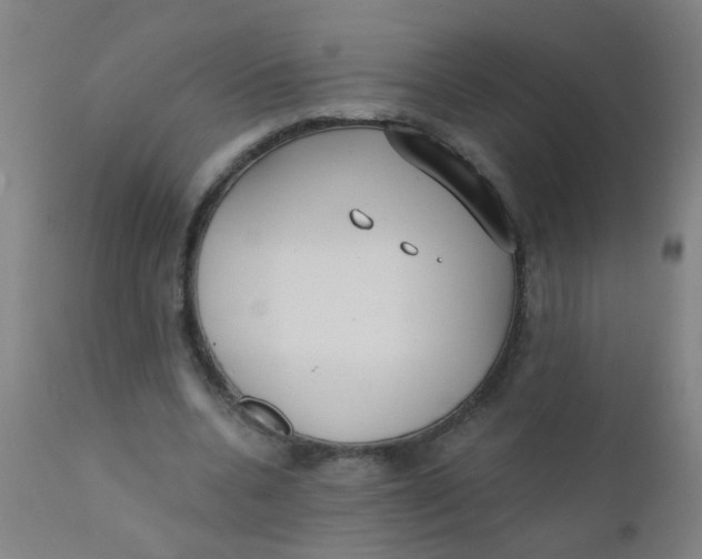 X0000110720536200907022048