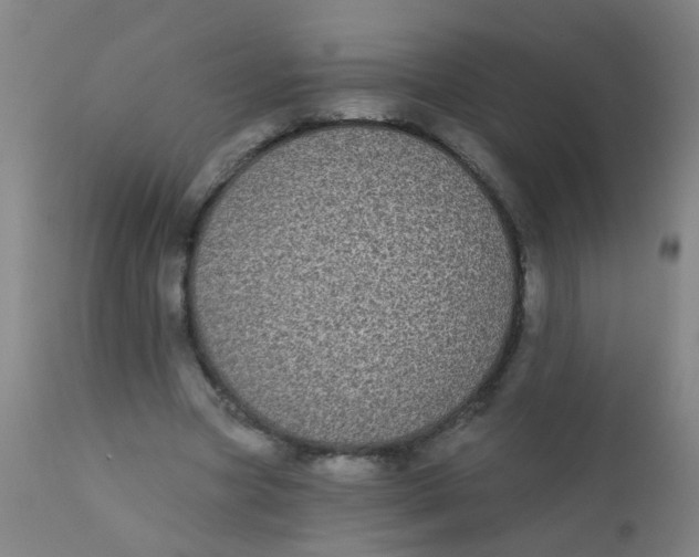 X0000110720537200907022048