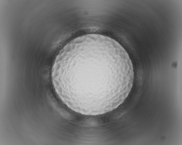 X0000110720545200907022049