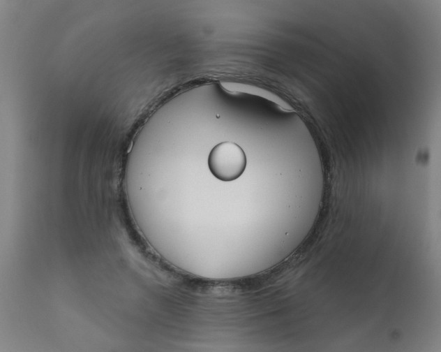 X0000110720546200907022049