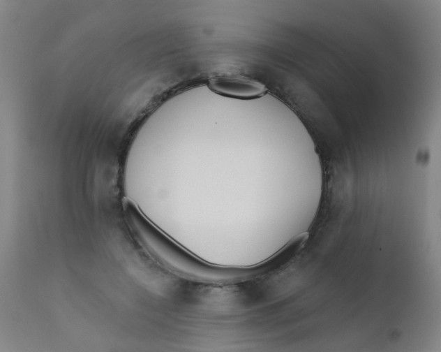 X0000110720548200907022049