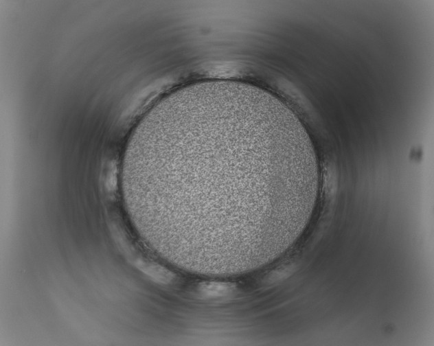 X0000110720549200907022049