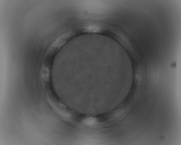 X0000110720551200907022049