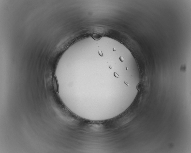 X0000110720552200907022049