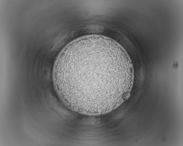 X0000110720553200907022049