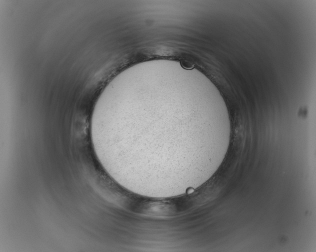 X0000110720555200907022049