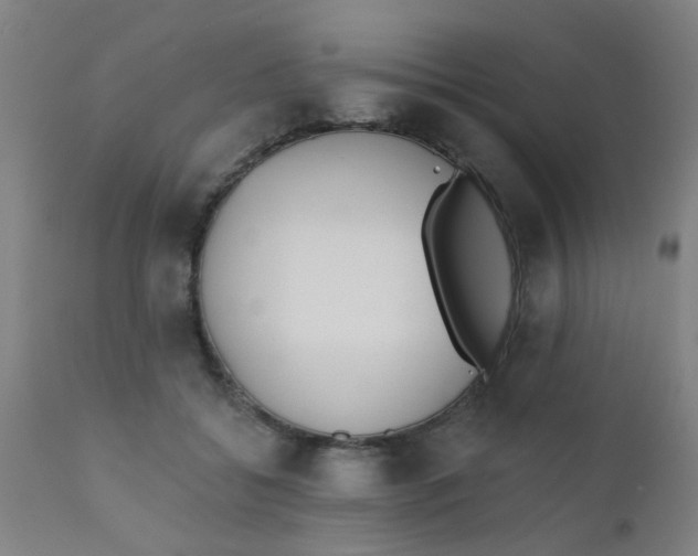 X0000110720556200907022049