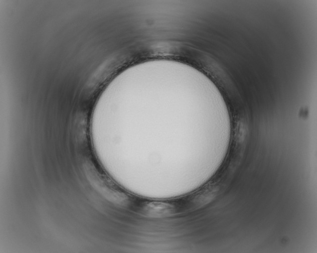 X0000110720557200907022049