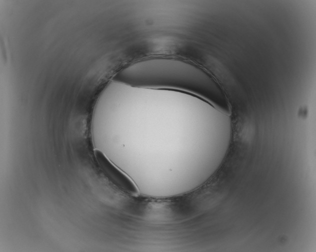 X0000110720560200907022049