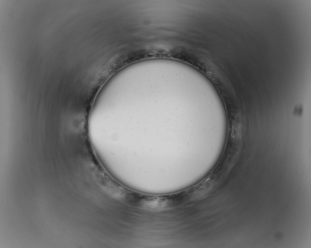 X0000110720561200907022049