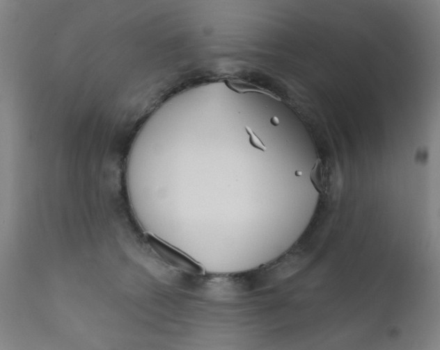 X0000110720562200907022049