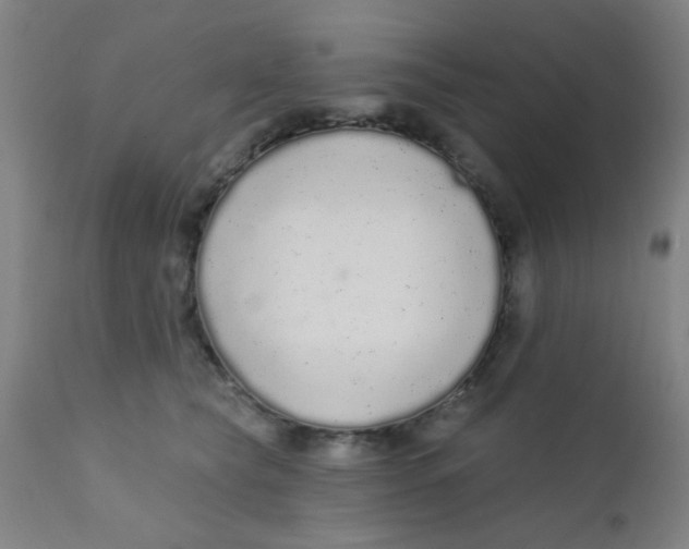 X0000110720565200907022049