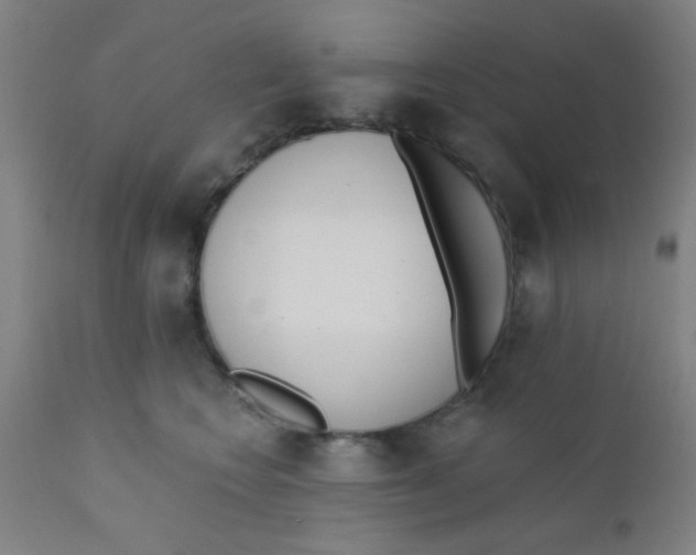 X0000110720566200907022049