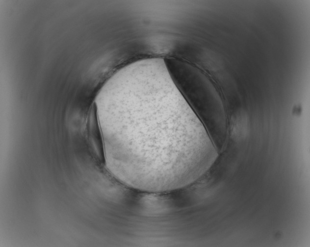 X0000110720568200907022049