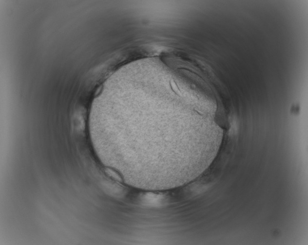 X0000110720570200907022049