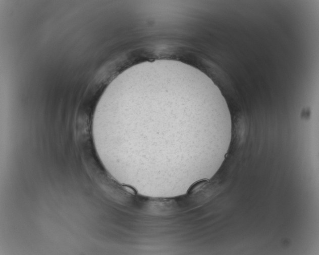 X0000110720571200907022049