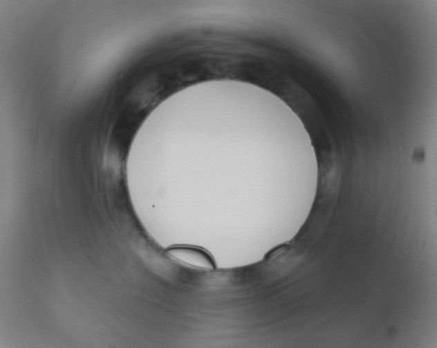 X0000110720574200907022049