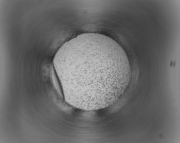 X0000110720576200907022049