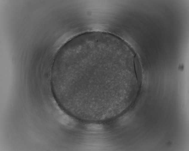 X0000110720577200907022048