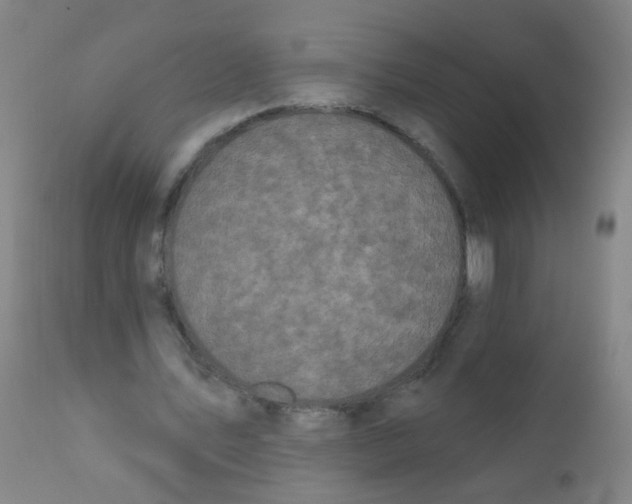 X0000110720579200907022048