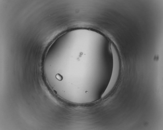 X0000110720581200907022048