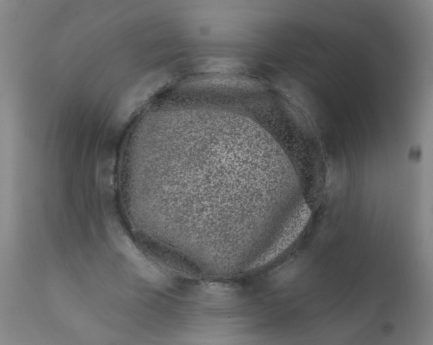 X0000110720585200907022048