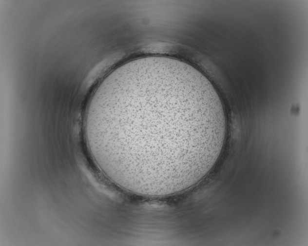 X0000110720586200907022048