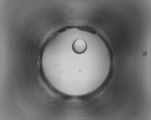 X0000110720589200907022048