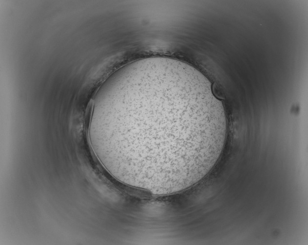 X0000110720593200907022048