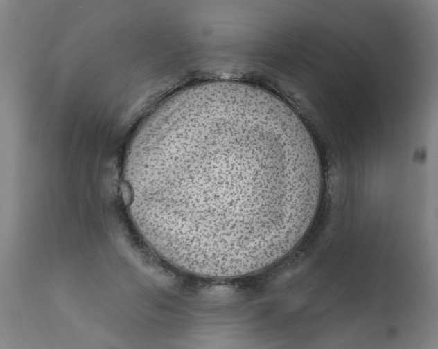 X0000110720594200907022048