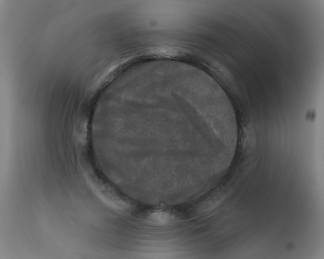 X0000110720596200907022048