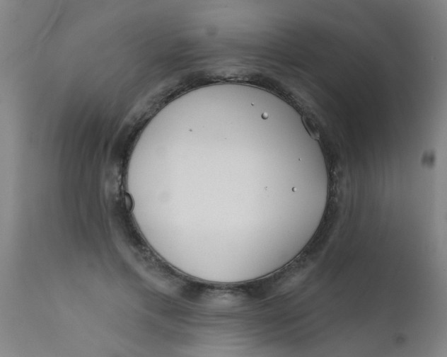 X0000110720597200907022048